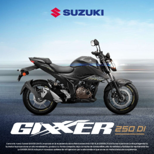 GSX250DI GIXXER