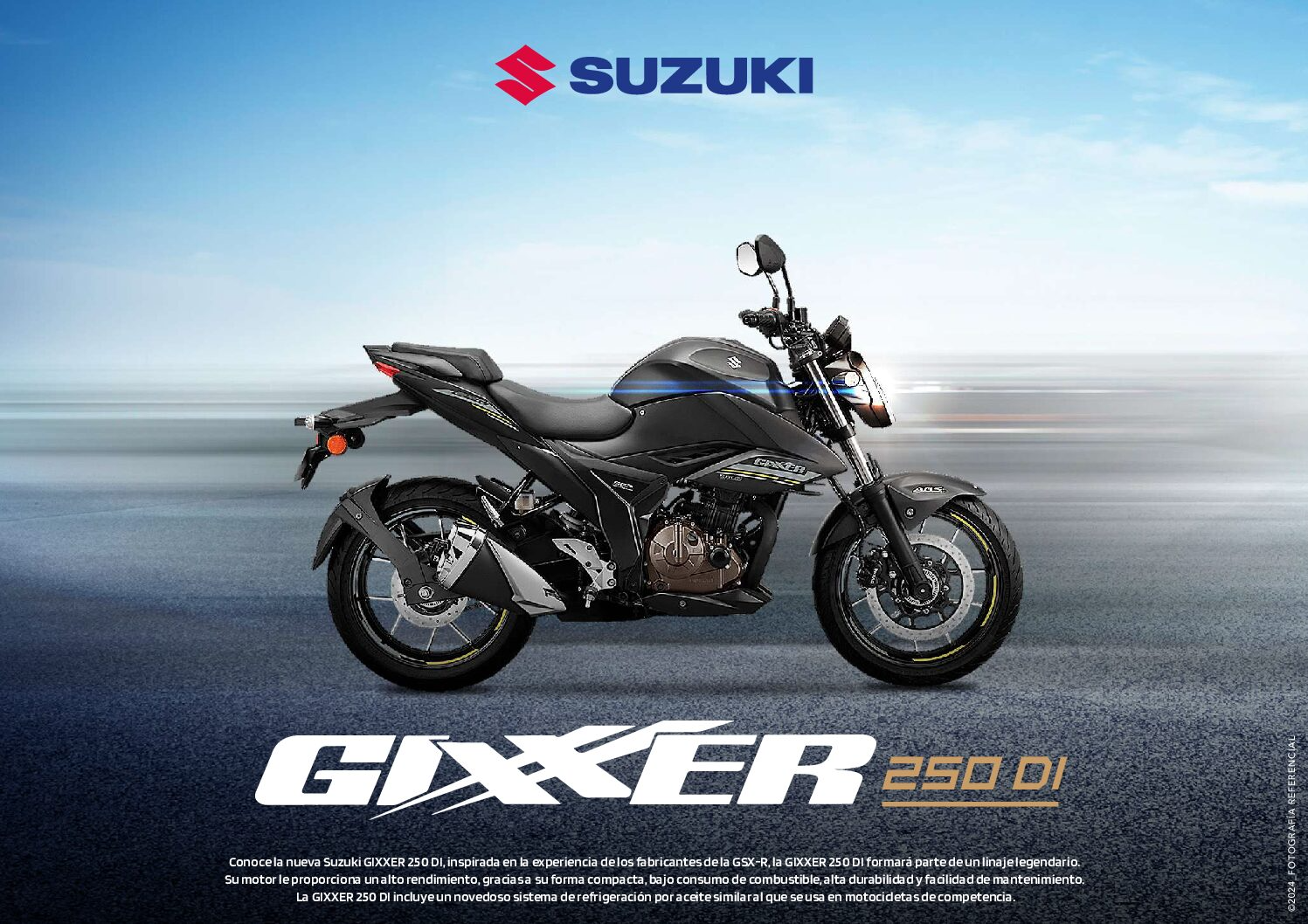 GSX250DI GIXXER